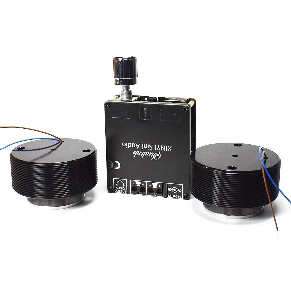 1 Set 50W 2.0 HIFI Vibration S - Home Cinema Ampli ulasan dan harga