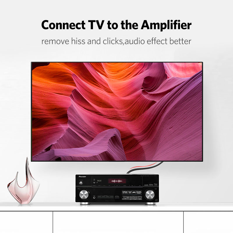 UGREEN 2RCA to 2 RCA Male to M - Home Cinema Ampli ulasan dan harga