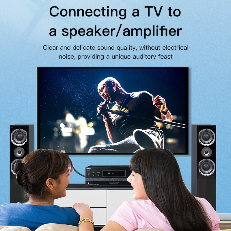 CHOSEAL RCA Cable Digital Coax - Home Cinema Ampli ulasan dan harga