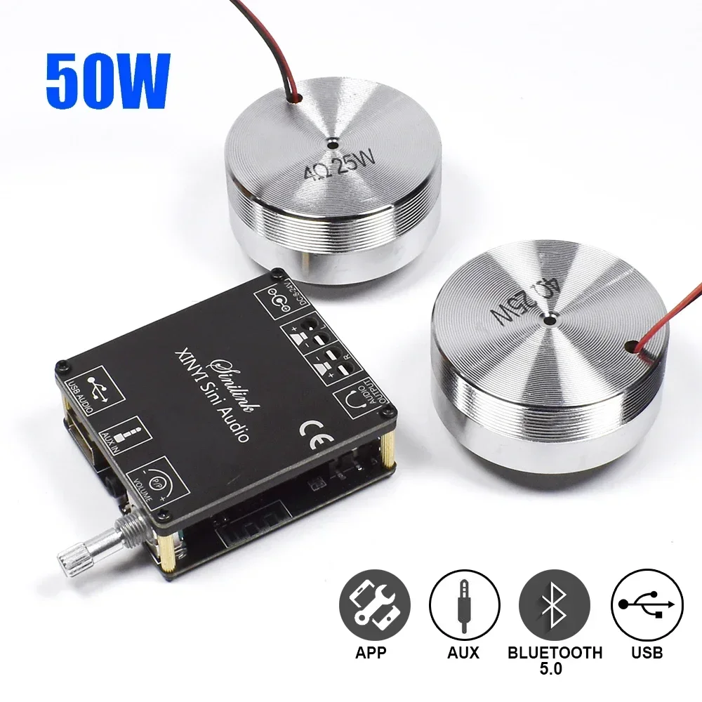 2*25W Portable Stereo Vibratio - Home Cinema Ampli ulasan dan harga